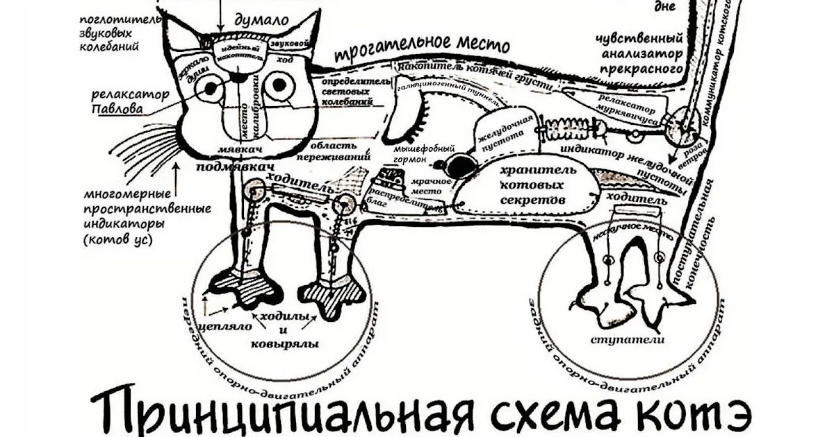 Действия кота если сема вопит. Принципиальная схема кота. Схема котэ. Шуточная схема кота. Принципиальная схема кота картинки.