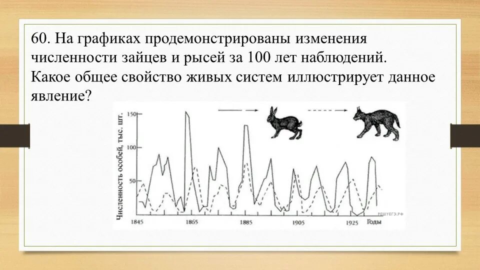 График изменения численности Зайцев и рыси. Численность популяции. На графике продемонстрированы изменения численности Зайцев и рысей. На график продемонстрированы изменения численности Зайцев и рысей.