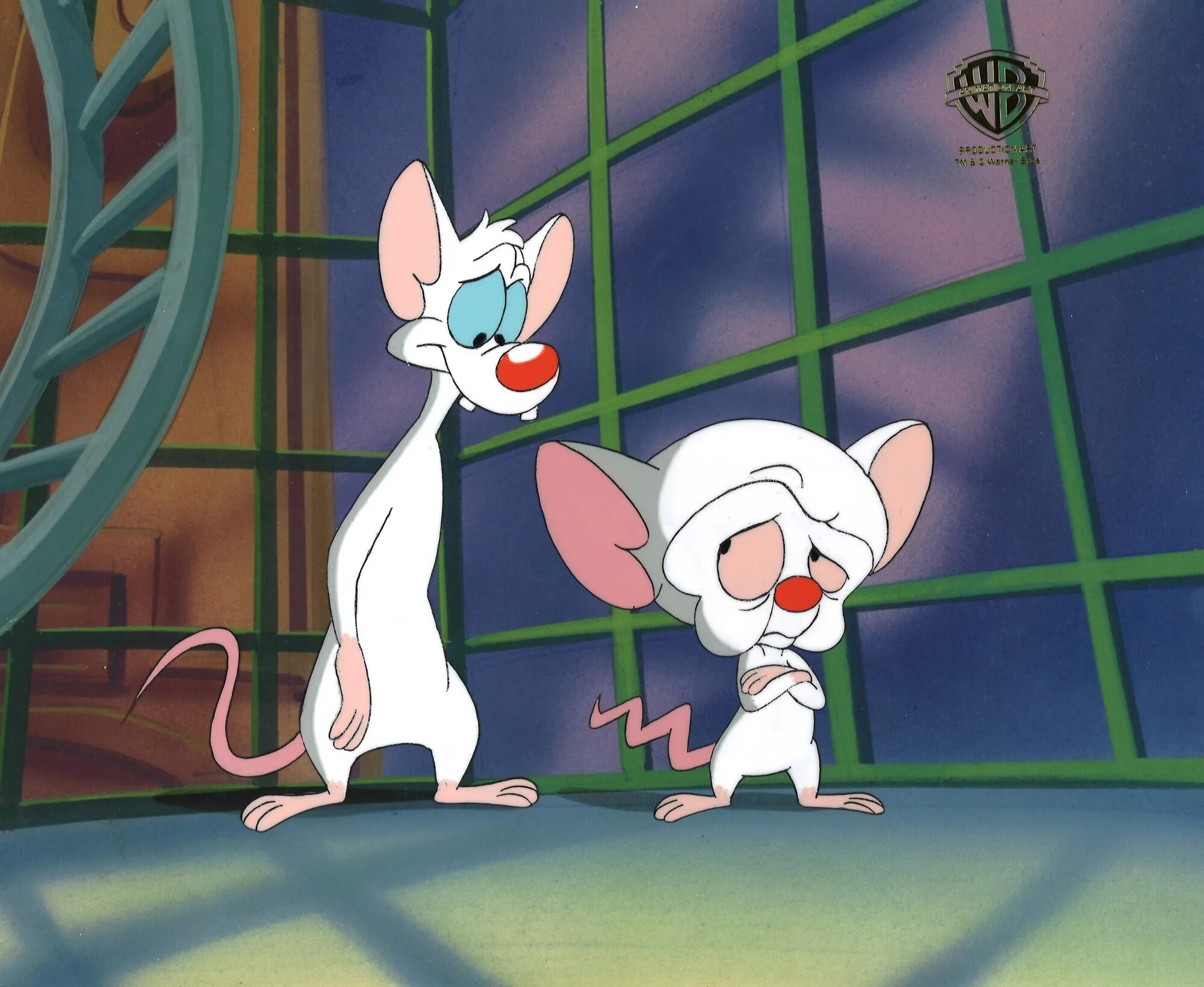 Pinky and brain. Пинки и Брейн кадры.