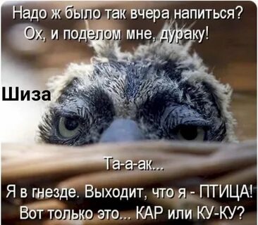 Опять утро картинки смешные