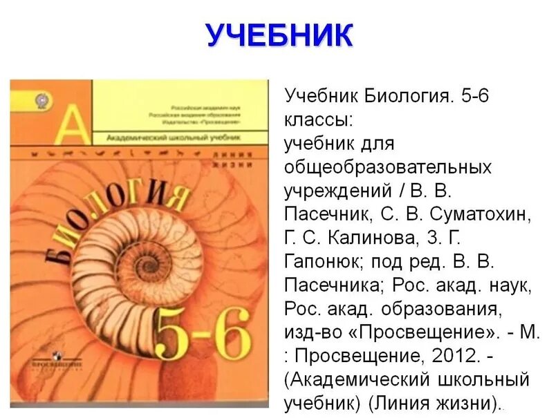 Биология 5-6 класс Пасечник. Учебник по биологии 5-6 класс Пасечник. Биология 6 класс Пасечник 2023. Биология 5-6 класс Пасечник 2023. Биология 8 класс 2023 читать