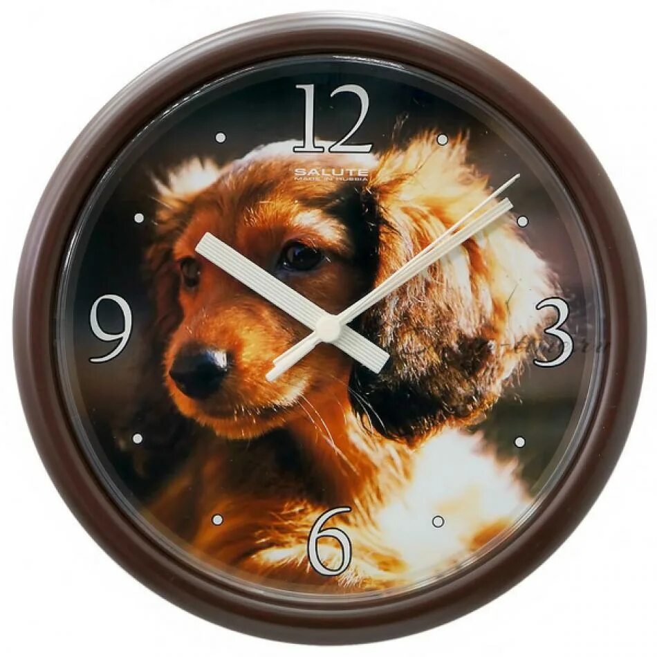 часы животные. часы из виниловых пластинок собаки. собака из виниловых пластинок. собака и часы. собачьи часы.