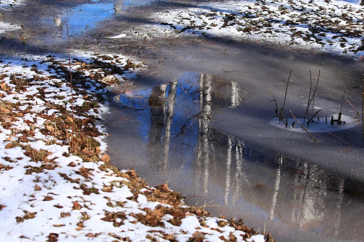 Везде лужи воды. Весенние лужи. Лужи весной.