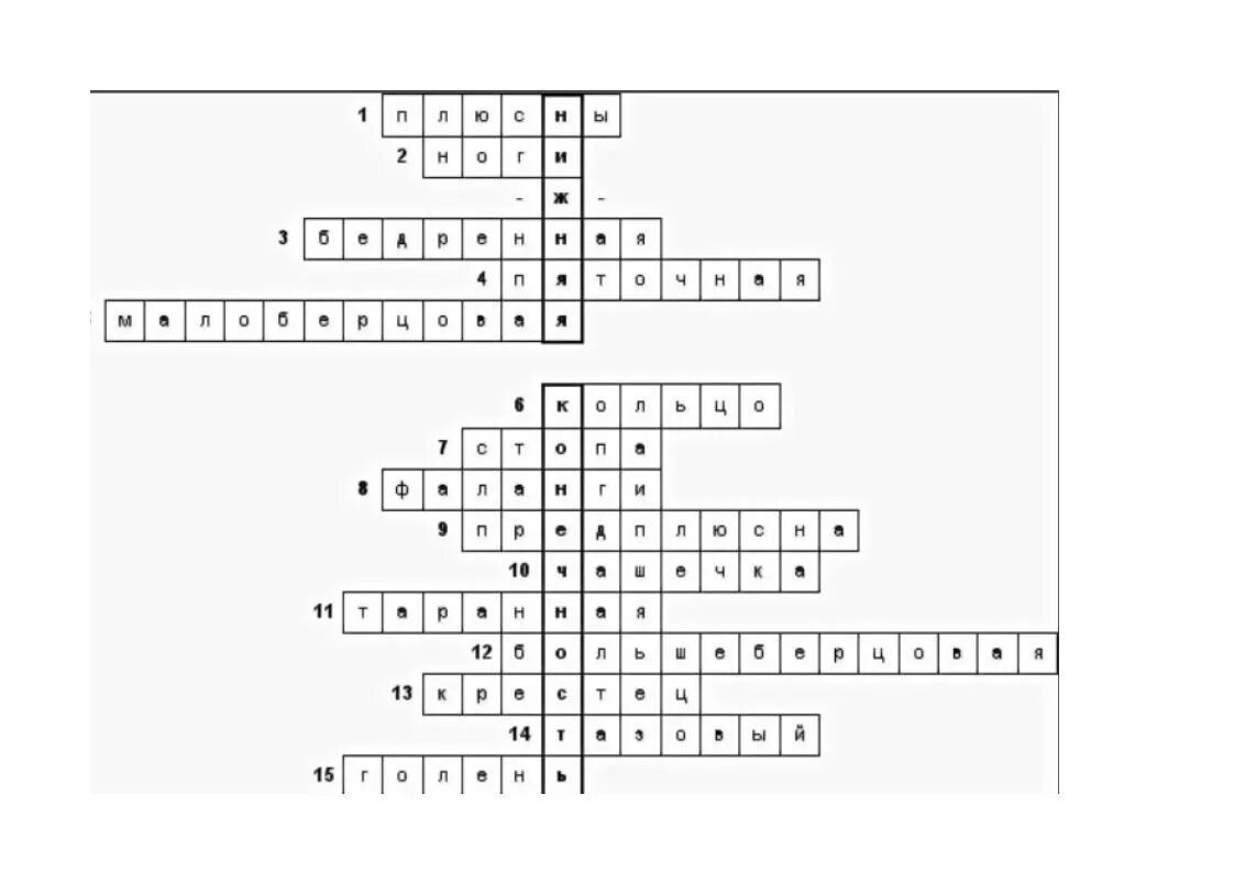 15 вопросов по обществознанию 6 класс. Кроссворд 15 слов. Кроссворд из 15 слов с ответами. Красфоро из 15 слов. Кроссворд на тему растения 15 слов.