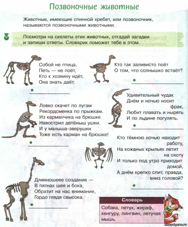 Тест по биологии позвоночные. Игры на уроках биологии. Игровой урок по биологии. Игровые приемы на уроках биологии. Животных имеющих позвоночник называют.