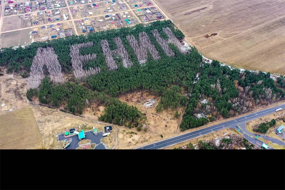 Памятник ленинину в эммаусе тверская область. Статуя ленина в лесном. Памятник ленина междуреченск. Город лесной свердловской области памятник ленину. Лесной ленин.