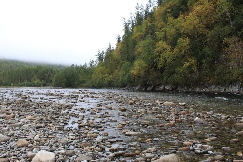 исследование реки амур. поярков василий данилович русский землепроходец. экспедиция ерофея хабарова 1649. василий поярков и ерофей хабаров. экспедиция василия пояркова 1643-1646.