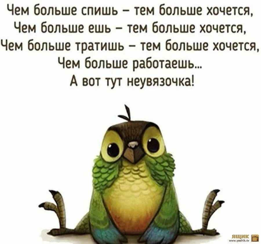 Весной хочется спать. Юмор про работу. Статусы не хочу на работу прикольные. Смешные цитаты. Прикольные открытки про работу.