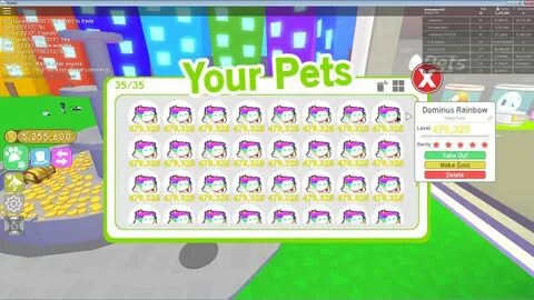Rainbow pet