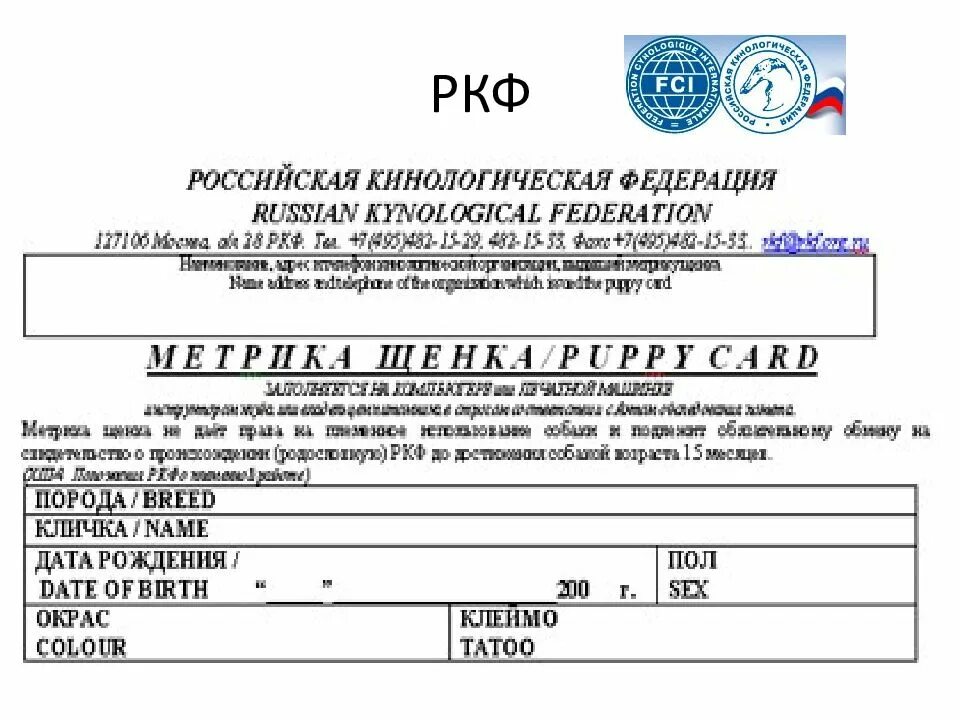 Племенное положение ркф 2025. Ркф. российская кинологическая федерация. печать ркф. федерации ркф.