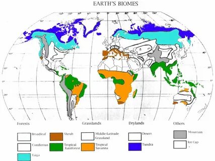 Biome particle