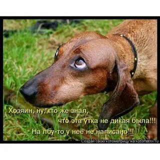 Такси извинитесь