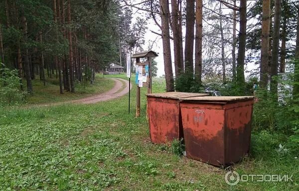 Погода топорня кирилловский. Топорня вологодская область. Топорня вологодская область карта. Шушмор квадратные березы. Деревня топорня вологодская область.