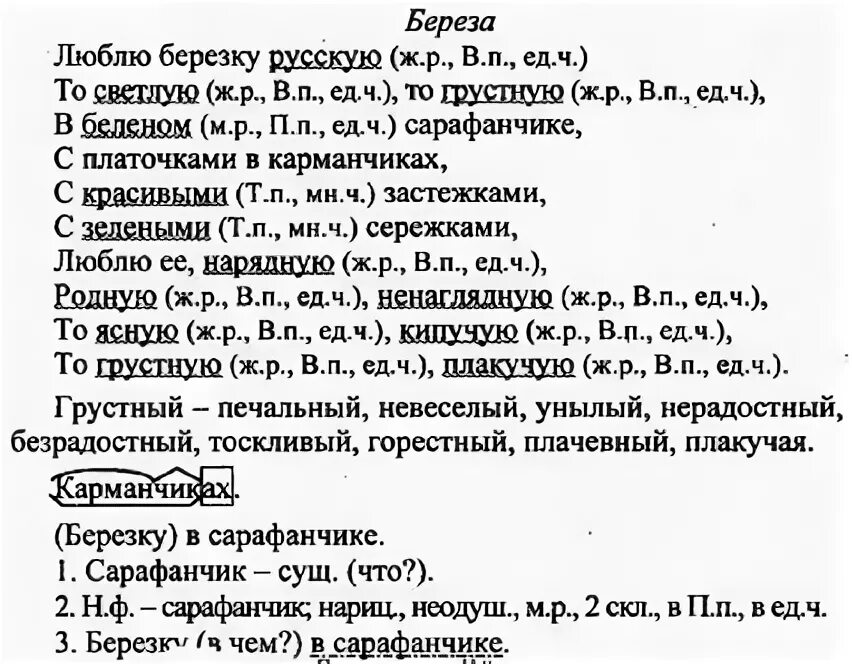 прилагательные с существительными к которым они относятся. описать березу как человека прилагательные. люблю березку русскую. поэты какие прилагательные. какие прилагательные имеют краткую форму.