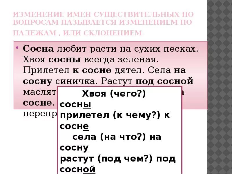 Определить падеж сосновую. Сосна склонение по падежам. Сосна склонение. Склонение имени существительного сосна. Изменение имен существительных по вопросам называется изменением по.