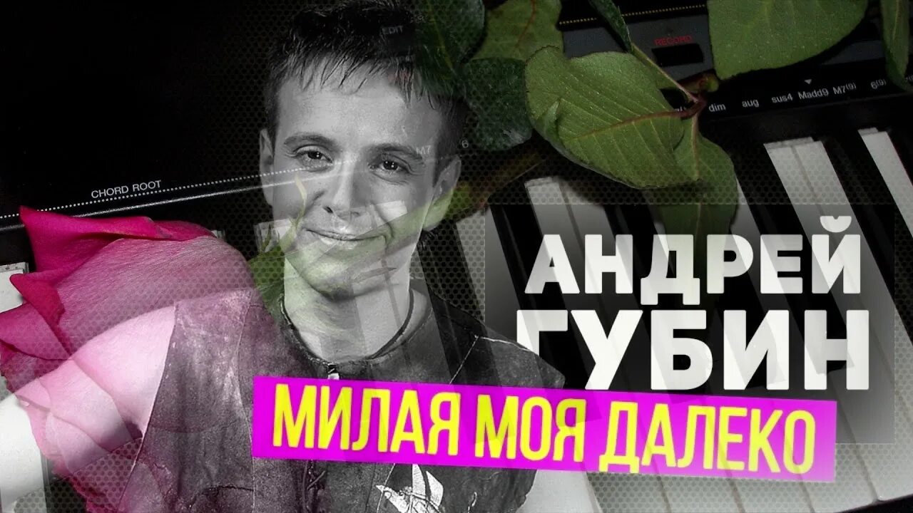 Губин милая моя далеко. Губин милая моя. Милая моя далеко andrey gubin. Песня милая моя. Губин песни милая моя.