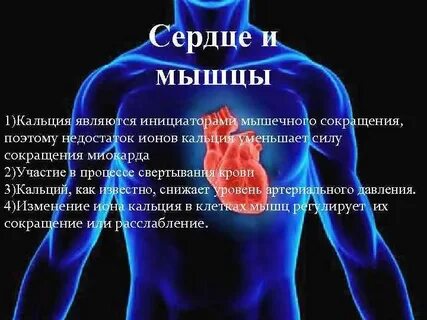 Кальций сокращение