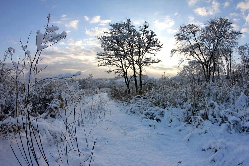 Похолодало. Первый снег в кузбассе. Кемеровская область погода зимой. Первые заморозки в городе. Кузбасс зима.