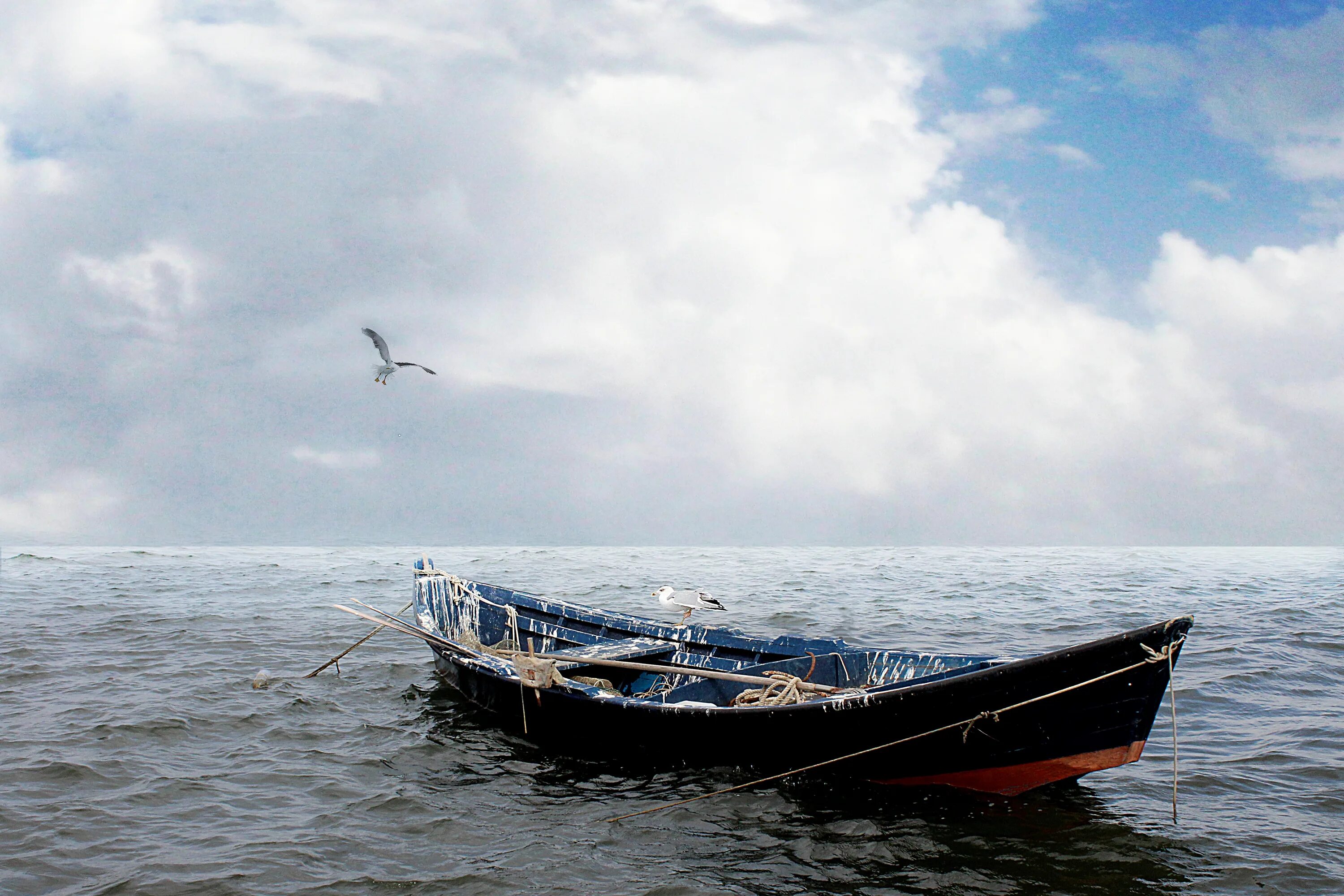 Лодка sea. Морские лодки. Лодка в море. Лодка на берегу. Катер в море.