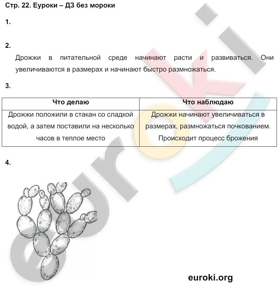 Биология 6 класс страница 124 вопросы. Опыт по биологии 5-6 класс. Биология 5 класс стр 6. Опыт 2 по биологии 6 класс. Биология 6 класс 1 параграф.