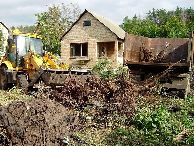 Вырубка деревьев на участке. Уборка участка. Уборка участка московская область. Расчистка участка вывоз. Расчистка участка от деревьев и кустарников.