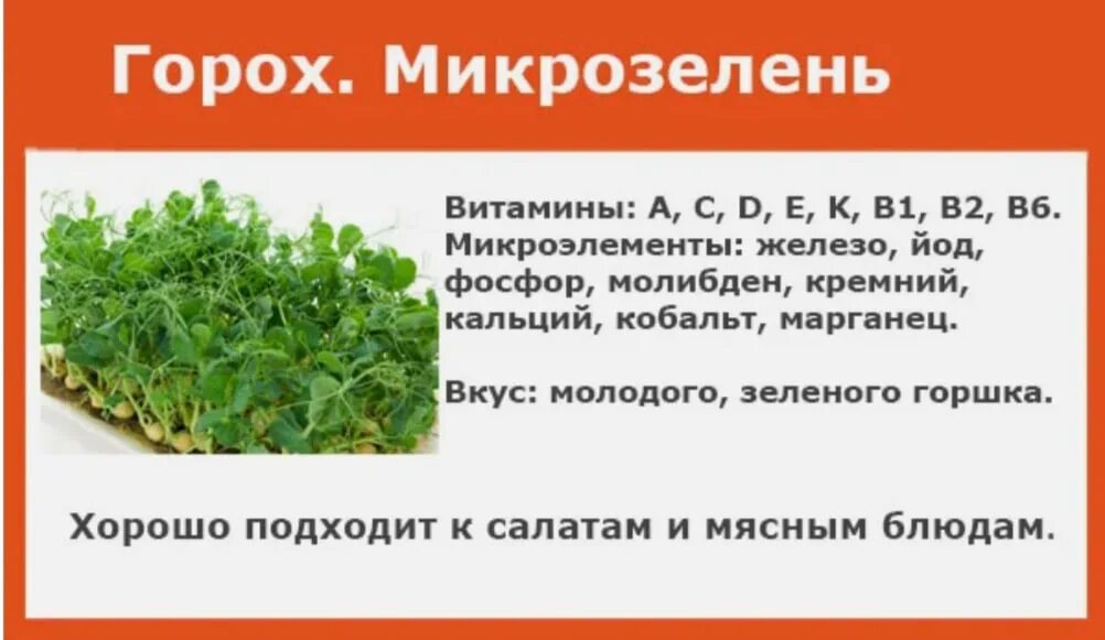 Таблица микрозелени. Витамины в микрозелени. содержание витаминов в микрозелени. какие витамины в горохе. что содержит горох.