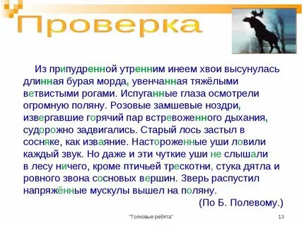 Припудренные утренним инеем