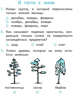 Окружающий мир 2 класс вариант 1