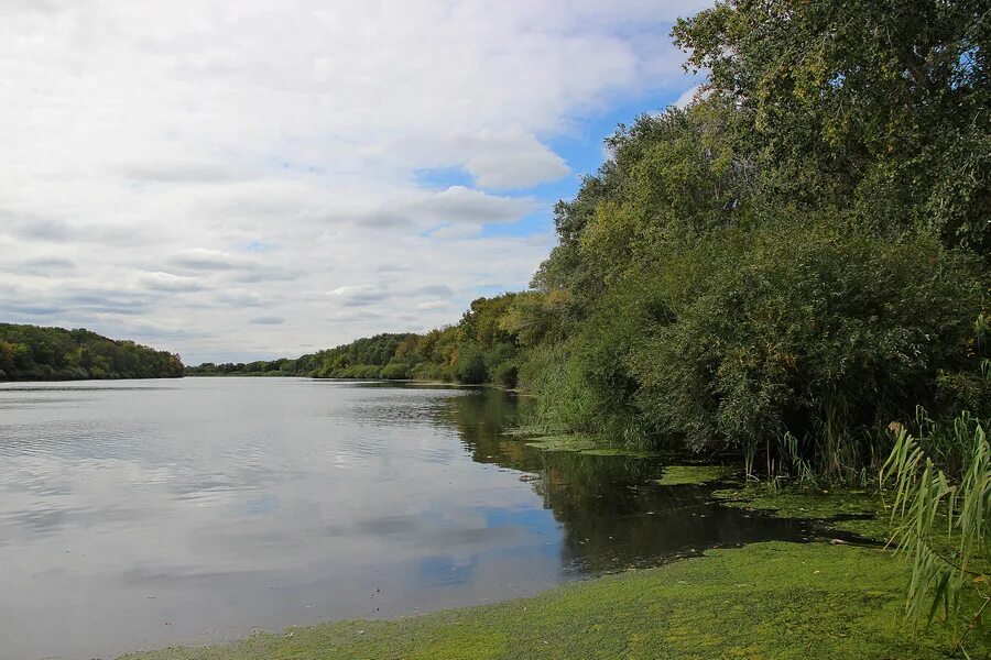 Погода в большой таволожке. Село большая таволожка. Погода в большой таволожке. Таволожка саратовская область. Большая таволожка база отдыха.