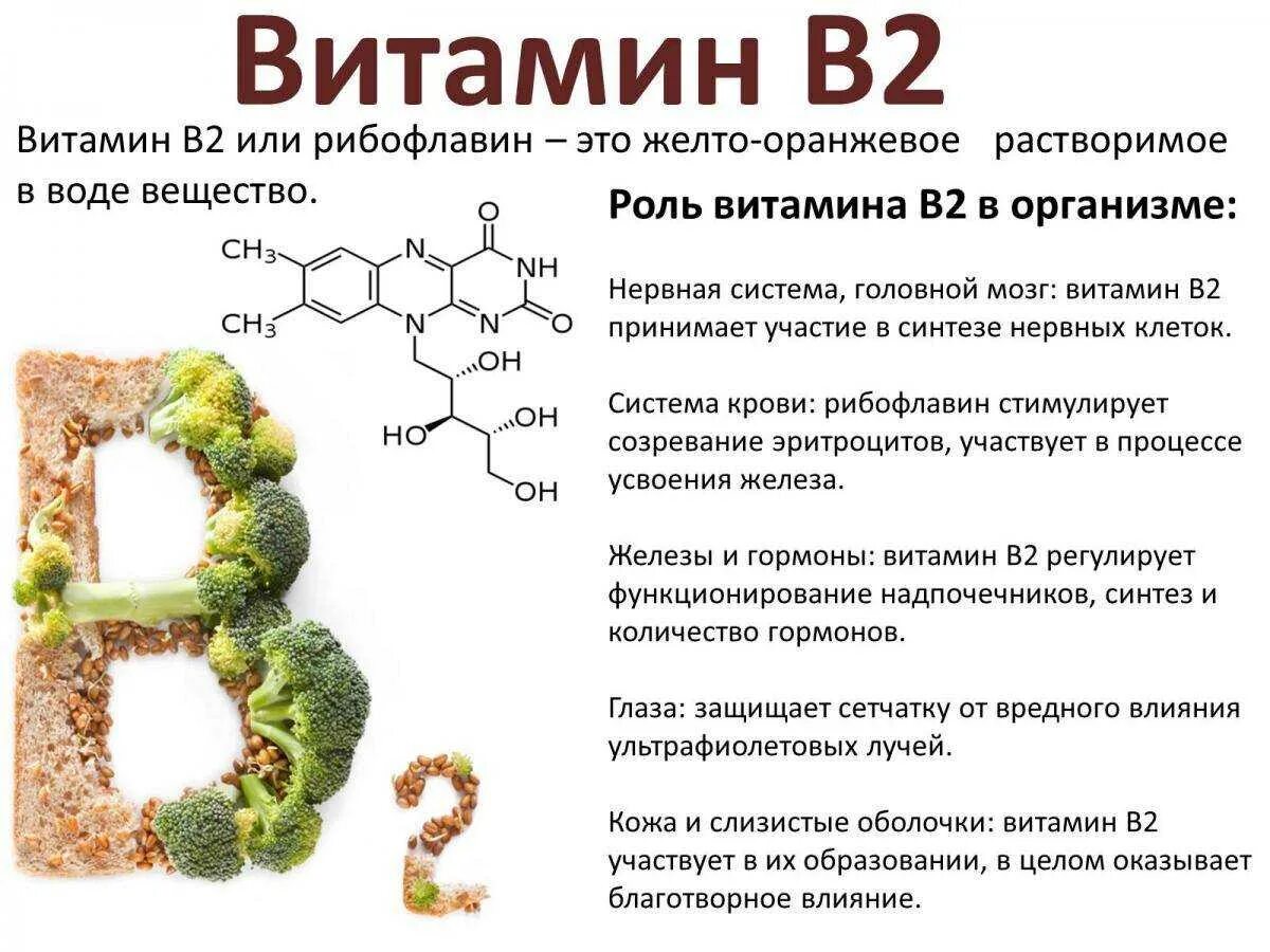 Витаминов в2 в3 в6