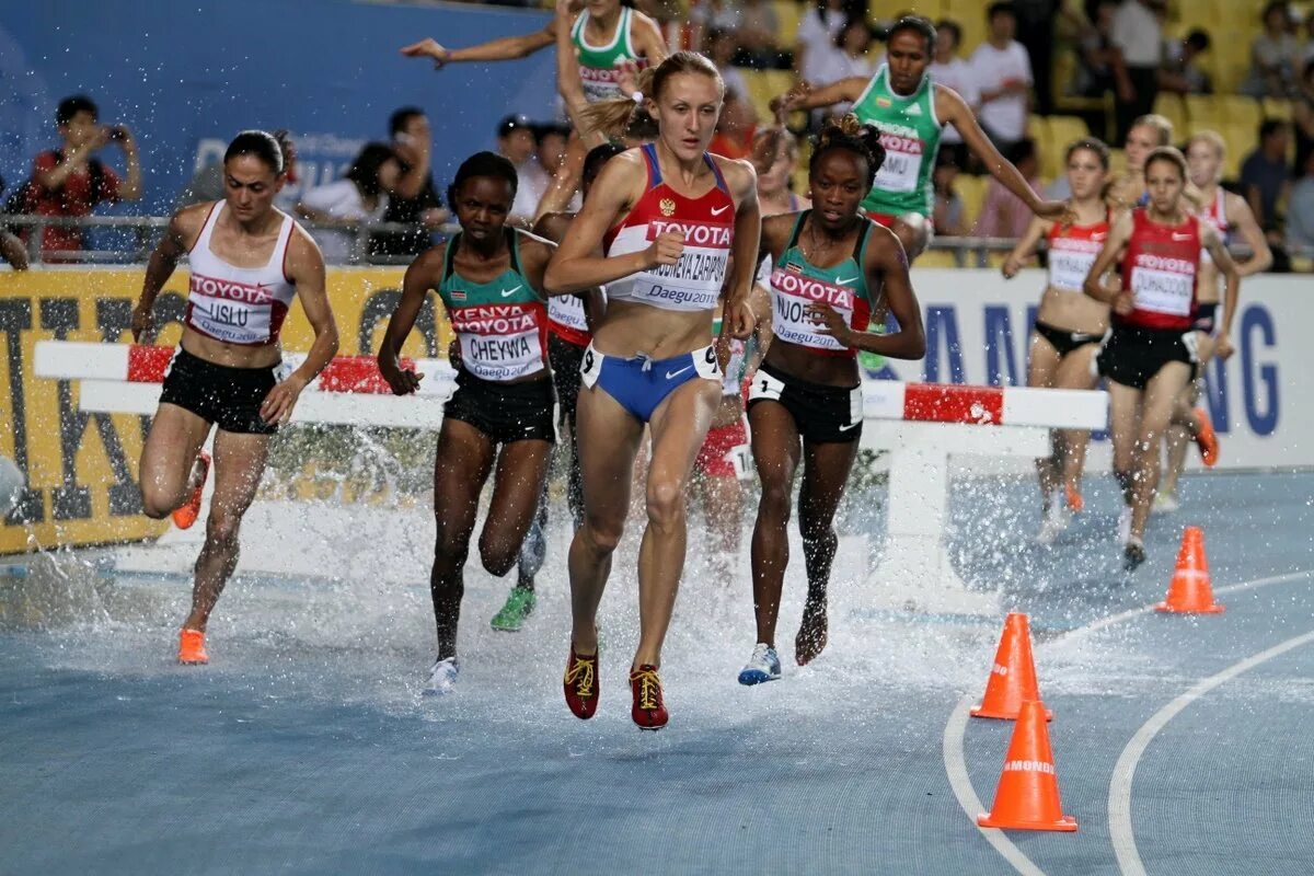 прыжки через барьеры. бег с препятствиями (стипль-чез). бег с препятствиями (стипль-чез). дистанция с препятствиями. дистанция с препятствиями.