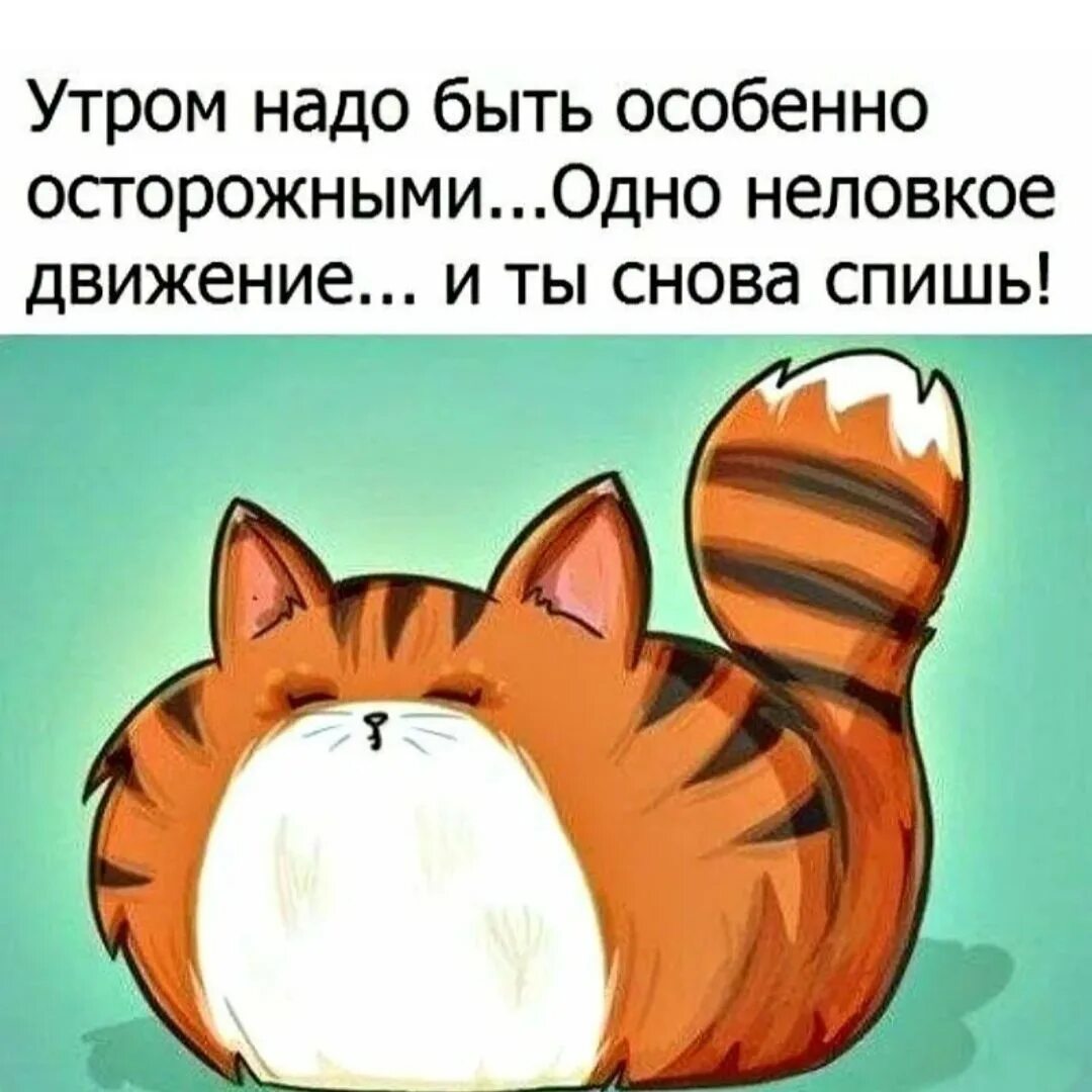 Движение опять. Доброе утро картинки с юмором. Движение опять. Движение опять. Движение.