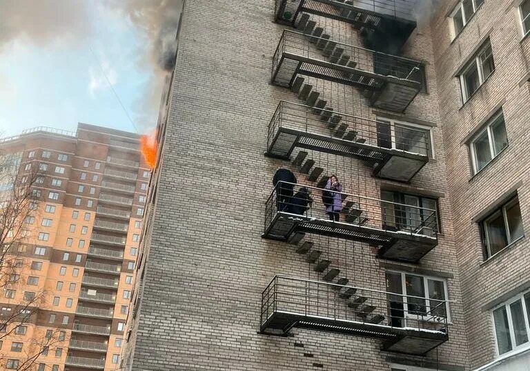 Брянцева 15 отдел по вопросам миграции. Брянцева 15. брянцева 22. брянцева 10 спб.