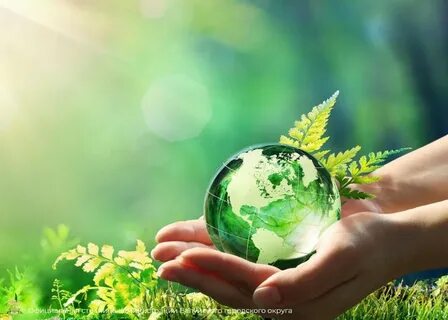 We must protect our environment