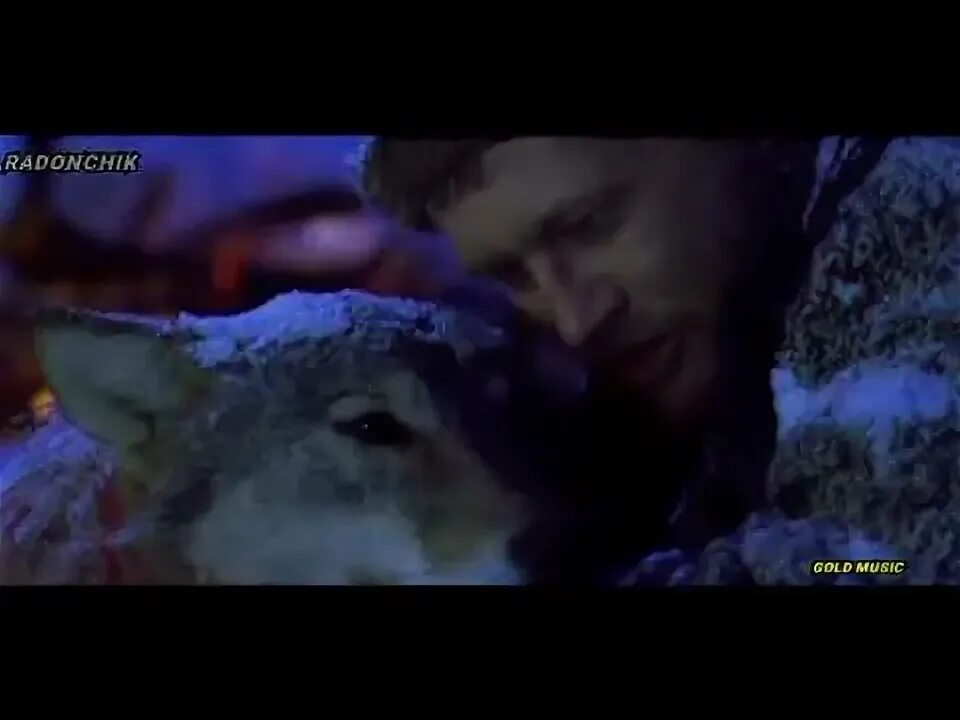 Девушка и волк гиф. Девушка с волком. Девушка с волком. Фотосессия с волком. Душа волка.