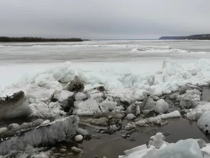 Когда река лена замерзает разливается мелеет