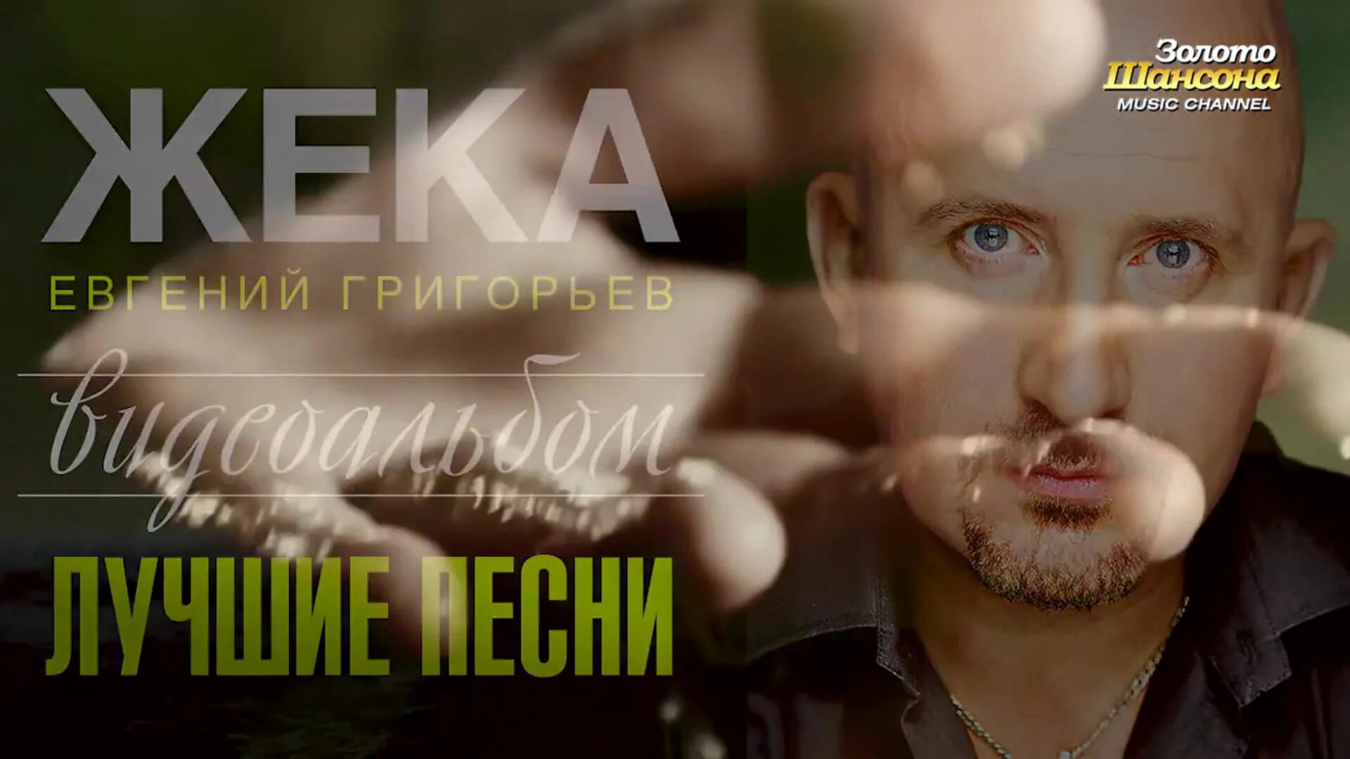 лучшее видео альбом