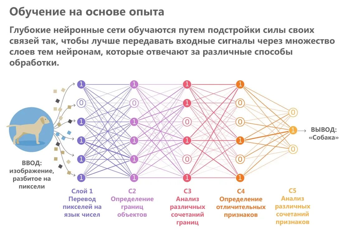 Что такое машинное обучение простыми словами. Искусственный интеллект схема нейросети. Принцип работы нейронной сети схема. Искусственная нейронная сеть схема. Нейронные сети сетка.