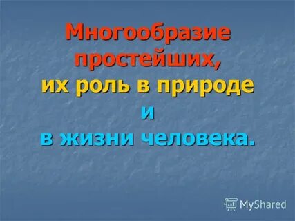 Роль это простыми словами