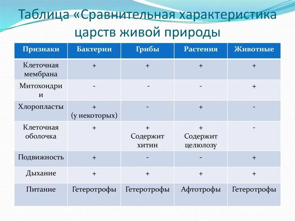 Заполнить таблицу сходство и различие. Таблица строение клетки разных Царств живой природы. Сравнение клеток различных Царств таблица 9 класс. Сравнение клеток Царств живой природы таблица. Характеристика Царств растений животных грибов бактерий.