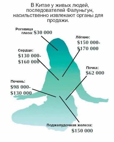 Самый дорогой орган человека. Стоимость органов. Цена органов человека. Цена человеческих органов. Стоимость органов человека на черном рынке.