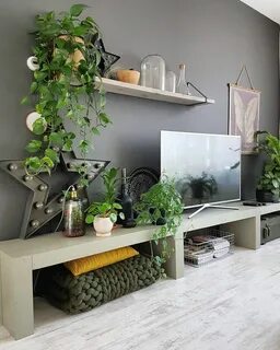 Plants tv