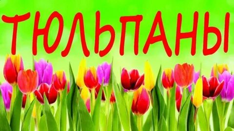Надпись тюльпаны