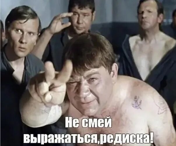 Ты редиска. Веселые овощи редиска. Редиска называют людей. Фильм редиска нехороший человек. Редиска нехороший человек.