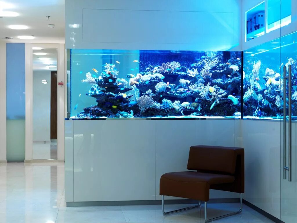 аквариум в интерьере. аквадизайн в интерьере. аквариум в современном интерьере. аквариумы хорошего качества. аквариумы хорошего качества.