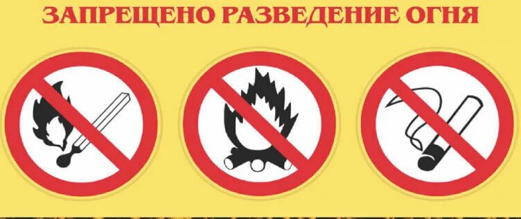 Не ракзвди в лесу костры. Экологические знаки не разводить костер. Знак осторожно огонь. Запрещено разводить костры в лесу. Знак запрета костра.