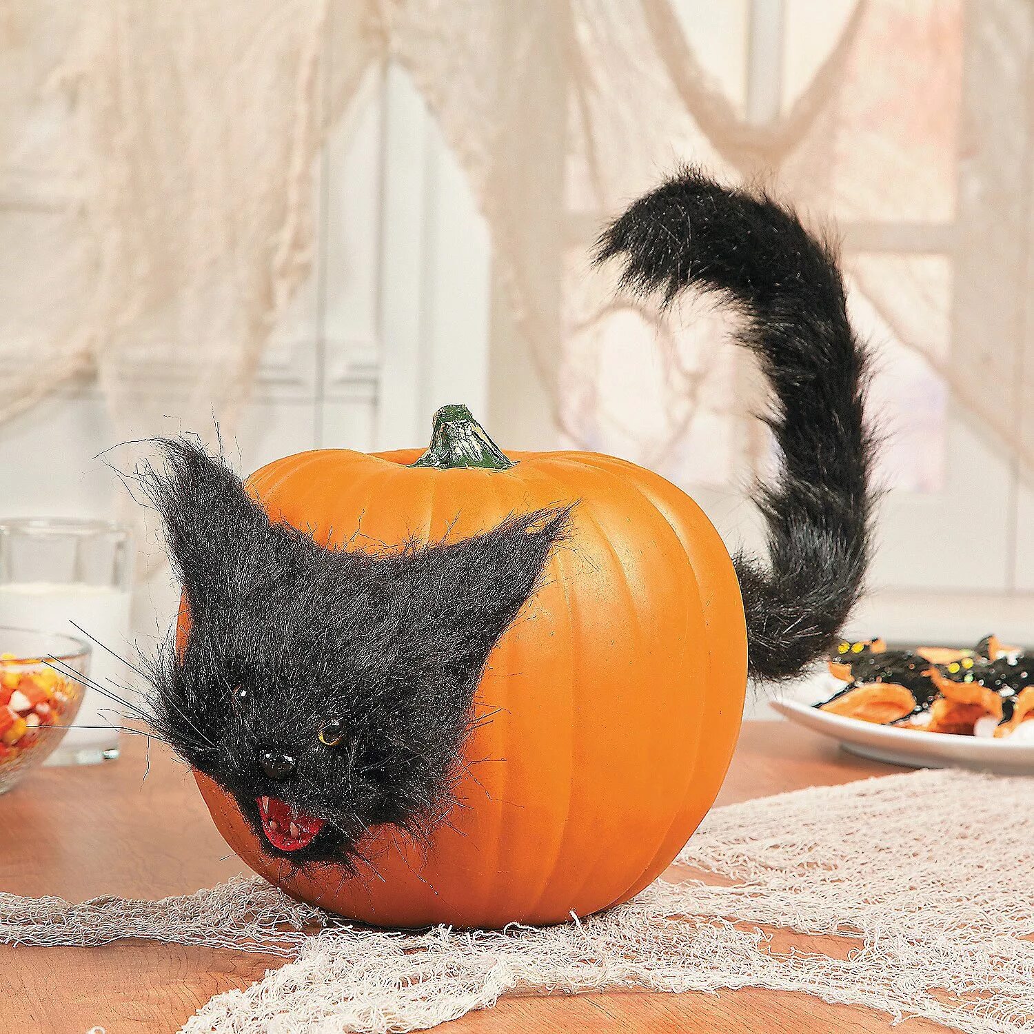 Тыква кошка. Кот в тыкве. Тыквенная кошка. Кот в тыкве. Черный кот и тыква.