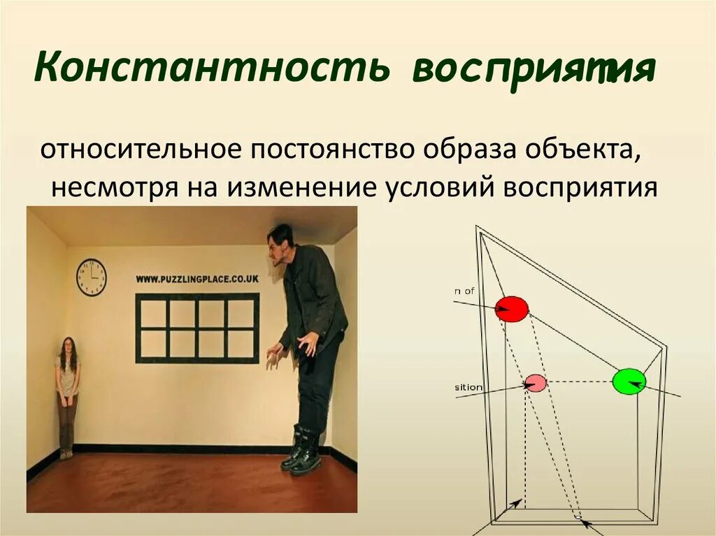 Пространственное восприятие формы. Константность восприятия. Константность восприятия примеры. Восприятие формы предмета. Константность образа восприятия.