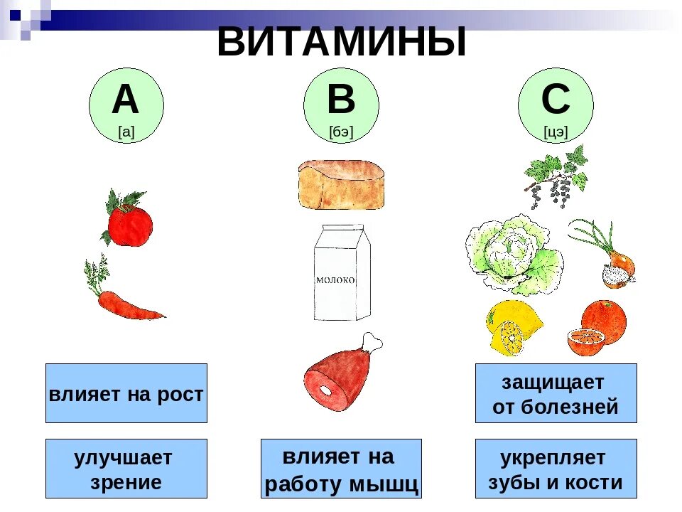 Витамин а находится в продуктах. Витамины в продуктах для детей. Витамины в овощах. Овощи фрукты витамины схема. Витамины схема.