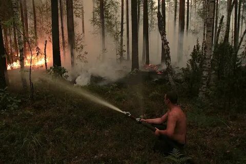 Как тушат лес
